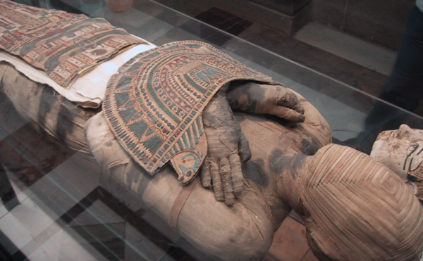 Mummy in museum case